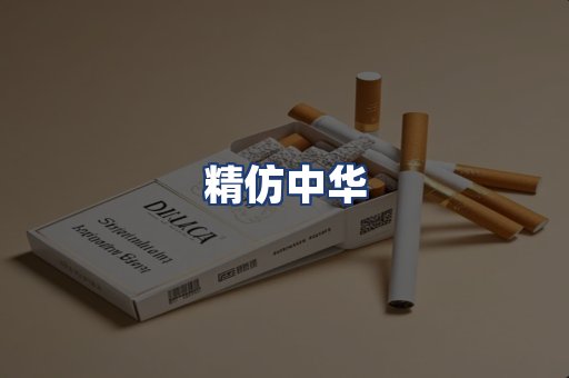 精仿中华